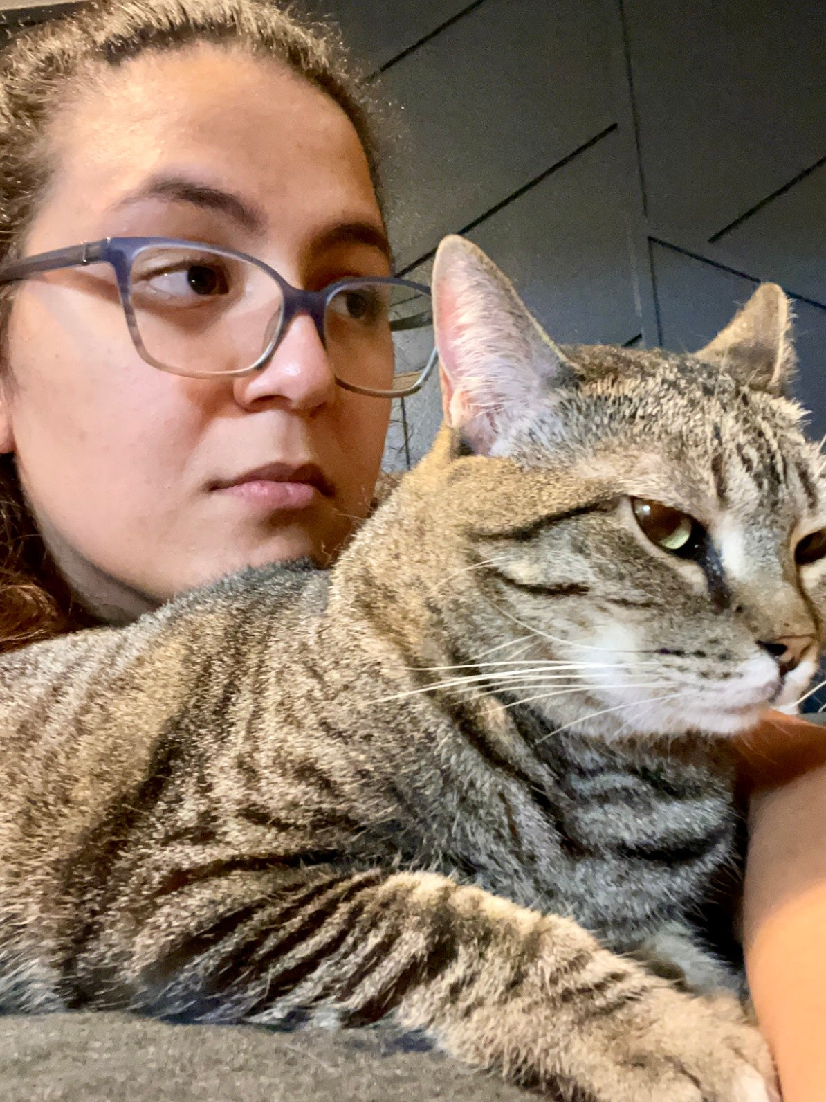 Person with glasses holding a tabby cat
